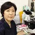 小方 秀子の写真