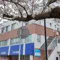 六浦皮ふ科 院長の写真