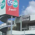 藤田耳鼻咽喉科医院 院長の写真