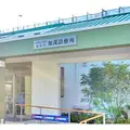 医療法人社団緑祐会加茂診療所 院長の写真