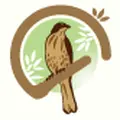 中山駅南口内科クリニックのロゴ