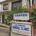 河原歯科医院 院長の写真