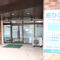 柏ひふ科 院長の写真