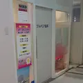 医療法人社団泉信会プルメリア歯科 院長の写真