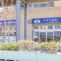 医療法人菜の花会やすだ歯科 院長の写真