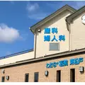 医療法人社団わたなべ医院東松戸 院長の写真
