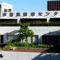 山本耳鼻咽喉科医院 院長の写真