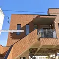 医療法人橋本歯科 院長の写真