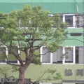 神戸医療生活協同組合協同歯科 院長の写真