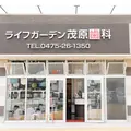 医療法人社団千友会ライフガーデン茂原歯科・矯正歯科 院長の写真