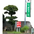 メンタルヘルス診療所しっぽふぁーれ 院長の写真