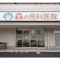 医療法人社団豊森会森の歯科医院 院長の写真