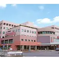 医療法人鉄蕉会亀田クリニック 院長の写真