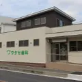 ワタセ歯科 院長の写真