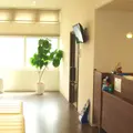 いしい眼科 院長の写真