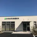 医療法人社団亮山会わかば耳鼻咽喉科 院長の写真