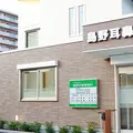 医療法人クローバー会島野耳鼻咽喉科 院長の写真