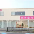 医療法人藤美会新美歯科 院長の写真
