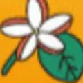 プルメリア歯科クリニックのロゴ