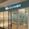 加古川えがお歯科 院長の写真