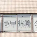 くどう甲状腺クリニック 院長の写真