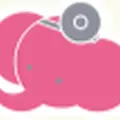 さねよし耳鼻咽喉科のロゴ
