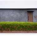 椎名歯科医院 院長の写真