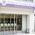甲南山手すみれ歯科・矯正歯科 院長の写真