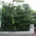玉澤歯科医院の外観写真