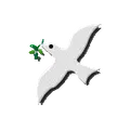 パレスクリニックのロゴ