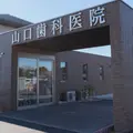 山口歯科医院 院長の写真