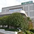 回春荘病院 院長の写真