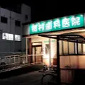 橋村歯科医院 院長の写真