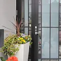 和歯科医院 院長の写真