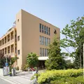 医療法人回起会奥産婦人科 院長の写真