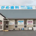 こがめ歯科 院長の写真