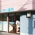いわい歯科 院長の写真