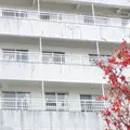 丸山病院 院長の写真