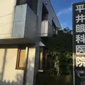 平井眼科医院 院長の写真