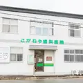 医療法人信正会こがねや歯科医院 院長の写真
