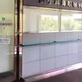 昌子耳鼻咽喉科 院長の写真