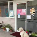 いぬいこどもクリニック 院長の写真