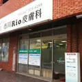 市川RIO皮膚科 院長の写真