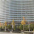 歯科ホワイトスタイル 院長の写真