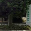 ヒロ胃腸科内科医院 院長の写真