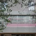 さくら通り歯科クリニック 院長の写真