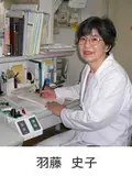 院長 羽藤 史子の写真