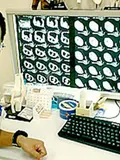 医学博士 谷口 睦の写真