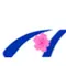 桜皮フ科クリニックのロゴ