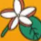 プルメリア歯科クリニックのロゴ
